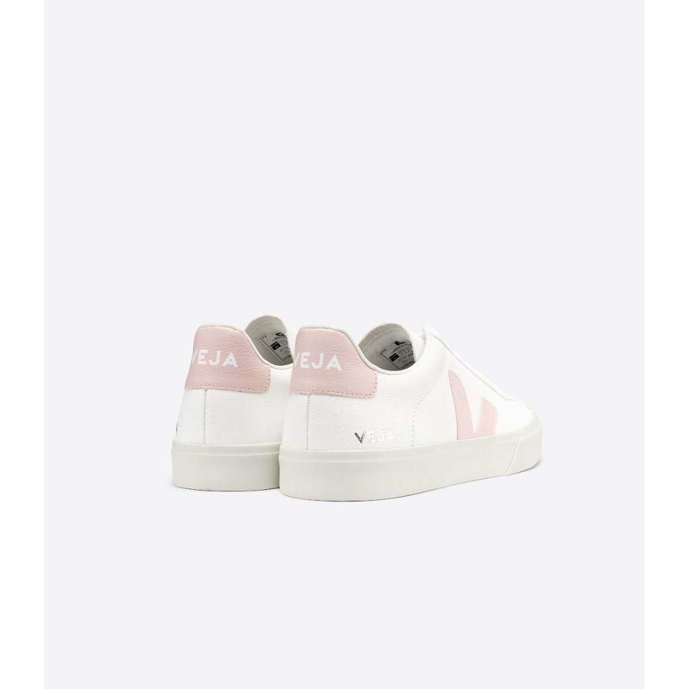 Veja CAMPO CHROMEFREE Low Tops Sneakers Dames White/Pink | BE 463KOR